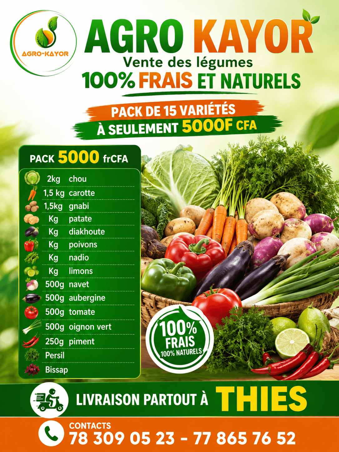 Projet 1